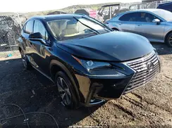 JTJYARBZXJ2091538 2018 LEXUS NX