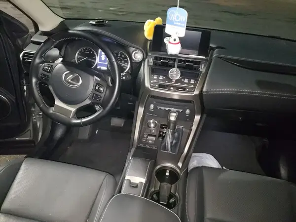 JTJYARBZXJ2114798 2018 LEXUS NX - Image 8
