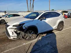 JTJYARBZXK2116990 2019 LEXUS NX