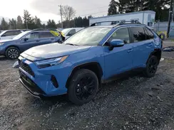 JTM16RFV0PD101598 2023 TOYOTA RAV 4