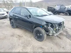 JTM16RFV0RD118873 2024 TOYOTA RAV 4