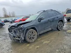JTM16RFV0RD151503 2024 TOYOTA RAV 4