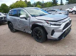 JTM16RFV0SD159512 2025 TOYOTA RAV 4