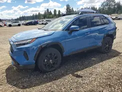JTM16RFV1PD085296 2023 TOYOTA RAV 4