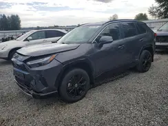 JTM16RFV1PD090613 2023 TOYOTA RAV 4