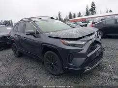 JTM16RFV1PD092166 2023 TOYOTA RAV 4