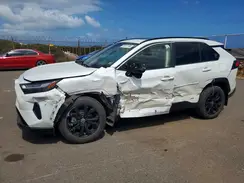 JTM16RFV1PD537019 2023 TOYOTA RAV 4