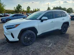 JTM16RFV1PJ025469 2023 TOYOTA RAV 4