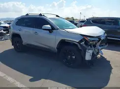 JTM16RFV1RD122205 2024 TOYOTA RAV 4