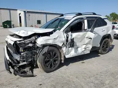 JTM16RFV1RJ042274 2024 TOYOTA RAV 4