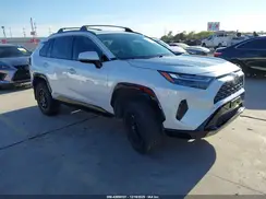 JTM16RFV1RJ044803 2024 TOYOTA RAV 4