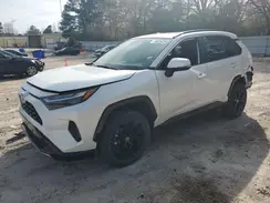 JTM16RFV1RJ047264 2024 TOYOTA RAV 4