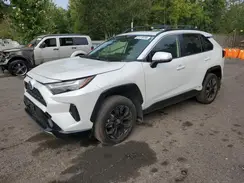 JTM16RFV1RJ063562 2024 TOYOTA RAV 4