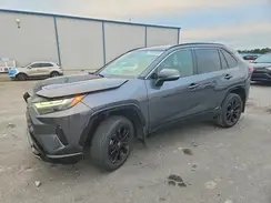 JTM16RFV2PD088465 2023 TOYOTA RAV 4