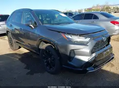 JTM16RFV2RD137232 2024 TOYOTA RAV 4