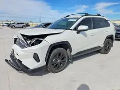 JTM16RFV2RJ042154 2024 TOYOTA RAV 4
