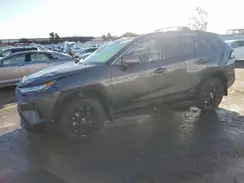 JTM16RFV2RJ061299 2024 TOYOTA RAV 4