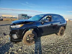 JTM16RFV2SJ064743 2025 TOYOTA RAV 4