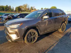 JTM16RFV3PD100333 2023 TOYOTA RAV 4