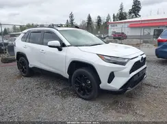 JTM16RFV3PD549057 2023 TOYOTA RAV 4