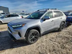 JTM16RFV3RD568940 2024 TOYOTA RAV 4