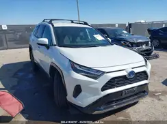 JTM16RFV3RJ042759 2024 TOYOTA RAV 4