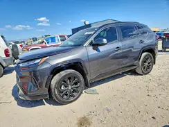 JTM16RFV3RJ051817 2024 TOYOTA RAV 4