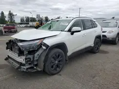 JTM16RFV3RJ059917 2024 TOYOTA RAV 4
