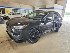 JTM16RFV4PD091058 2023 TOYOTA RAV 4