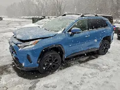 JTM16RFV4RD139533 2024 TOYOTA RAV 4