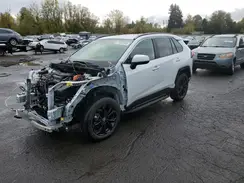 JTM16RFV4RD550205 2024 TOYOTA RAV 4