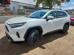 JTM16RFV4RJ043449 2024 TOYOTA RAV 4