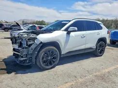 JTM16RFV4RJ060977 2024 TOYOTA RAV 4
