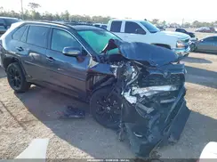 JTM16RFV5RD125351 2024 TOYOTA RAV 4