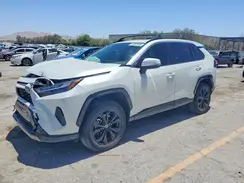 JTM16RFV5RJ054170 2024 TOYOTA RAV 4