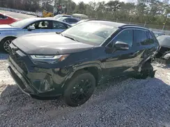 JTM16RFV5SJ064347 2025 TOYOTA RAV 4