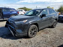 JTM16RFV6PD085004 2023 TOYOTA RAV 4