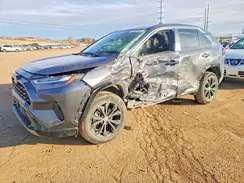 JTM16RFV6PD095984 2023 TOYOTA RAV 4