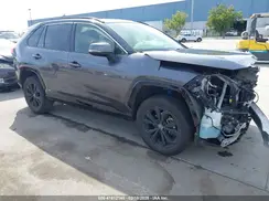 JTM16RFV6RD125746 2024 TOYOTA RAV 4