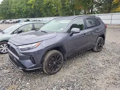 JTM16RFV6RD126234 2024 TOYOTA RAV 4