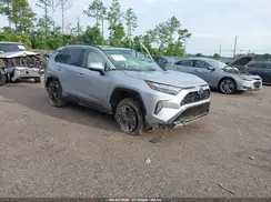 JTM16RFV6RD142420 2024 TOYOTA RAV 4
