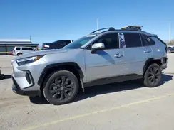 JTM16RFV6RD147701 2024 TOYOTA RAV 4