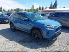 JTM16RFV6RD149755 2024 TOYOTA RAV 4