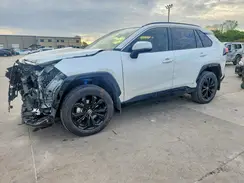 JTM16RFV6RJ053612 2024 TOYOTA RAV 4