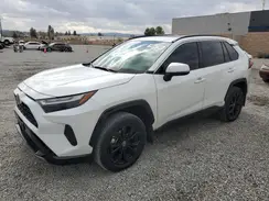 JTM16RFV7PD100545 2023 TOYOTA RAV 4