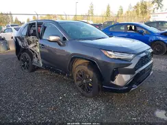 JTM16RFV7RD137386 2024 TOYOTA RAV 4