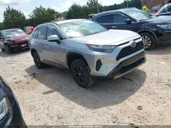 JTM16RFV8PD083917 2023 TOYOTA RAV 4
