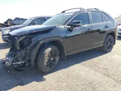 JTM16RFV8RD148400 2024 TOYOTA RAV 4