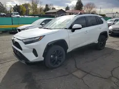 JTM16RFV8RJ041185 2024 TOYOTA RAV 4