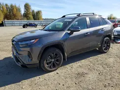 JTM16RFV8RJ046158 2024 TOYOTA RAV 4